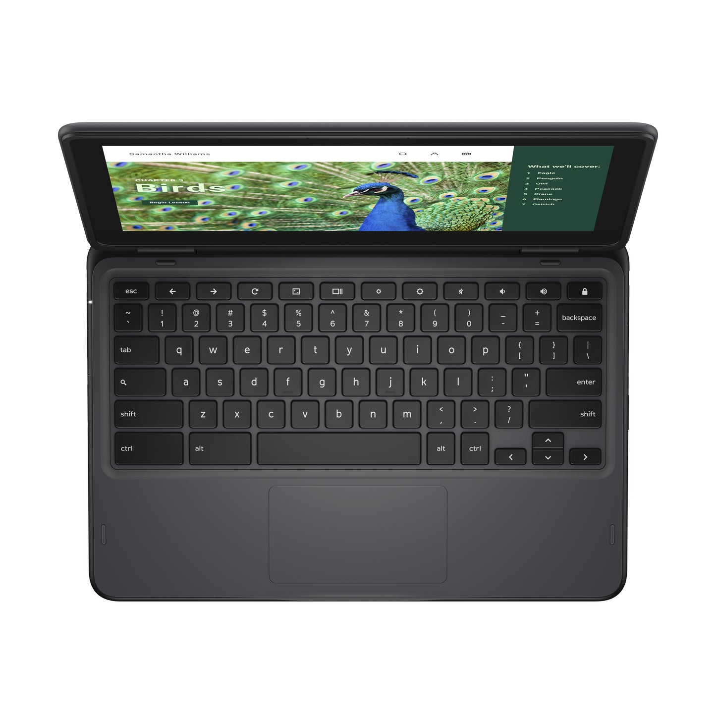 DELL Chromebook 3120 2-in-1 Intel® N N100 11.6" Touchscreen HD 4 GB LPDDR5-SDRAM 64 GB eMMC Wi-Fi 6 (802.11ax) ChromeOS Black