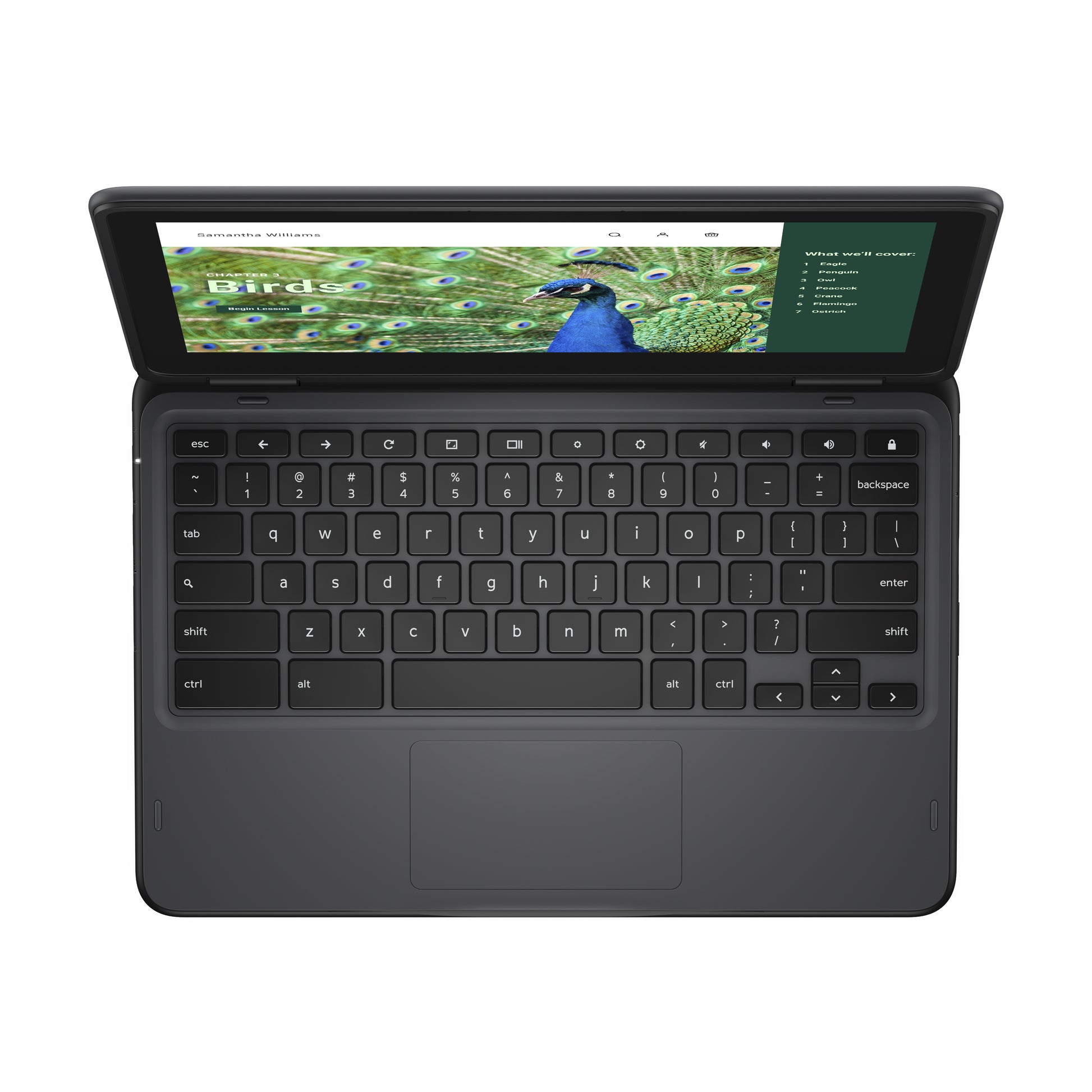 DELL Chromebook 3120 2-in-1 Intel® N N100 11.6" Touchscreen HD 4 GB LPDDR5-SDRAM 64 GB eMMC Wi-Fi 6 (802.11ax) ChromeOS Black