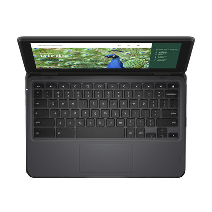 DELL Chromebook 3120 2-in-1 Intel® N N100 11.6" Touchscreen HD 4 GB LPDDR5-SDRAM 64 GB eMMC Wi-Fi 6 (802.11ax) ChromeOS Black