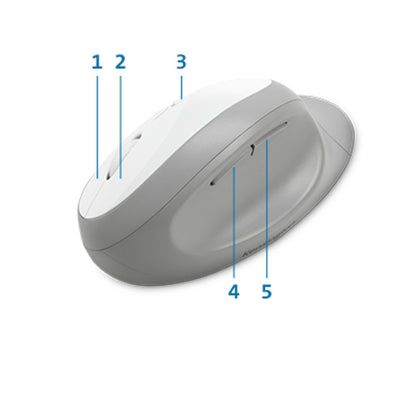 Kensington Pro Fit® Ergo Wireless Keyboard and Mouse—Gray