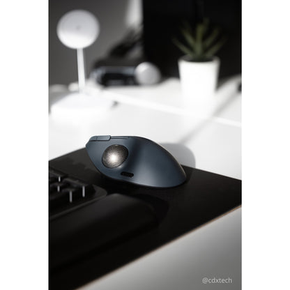Kensington Pro Fit Ergo TB550 mouse Office Right-hand RF Wireless + Bluetooth Trackball 1600 DPI