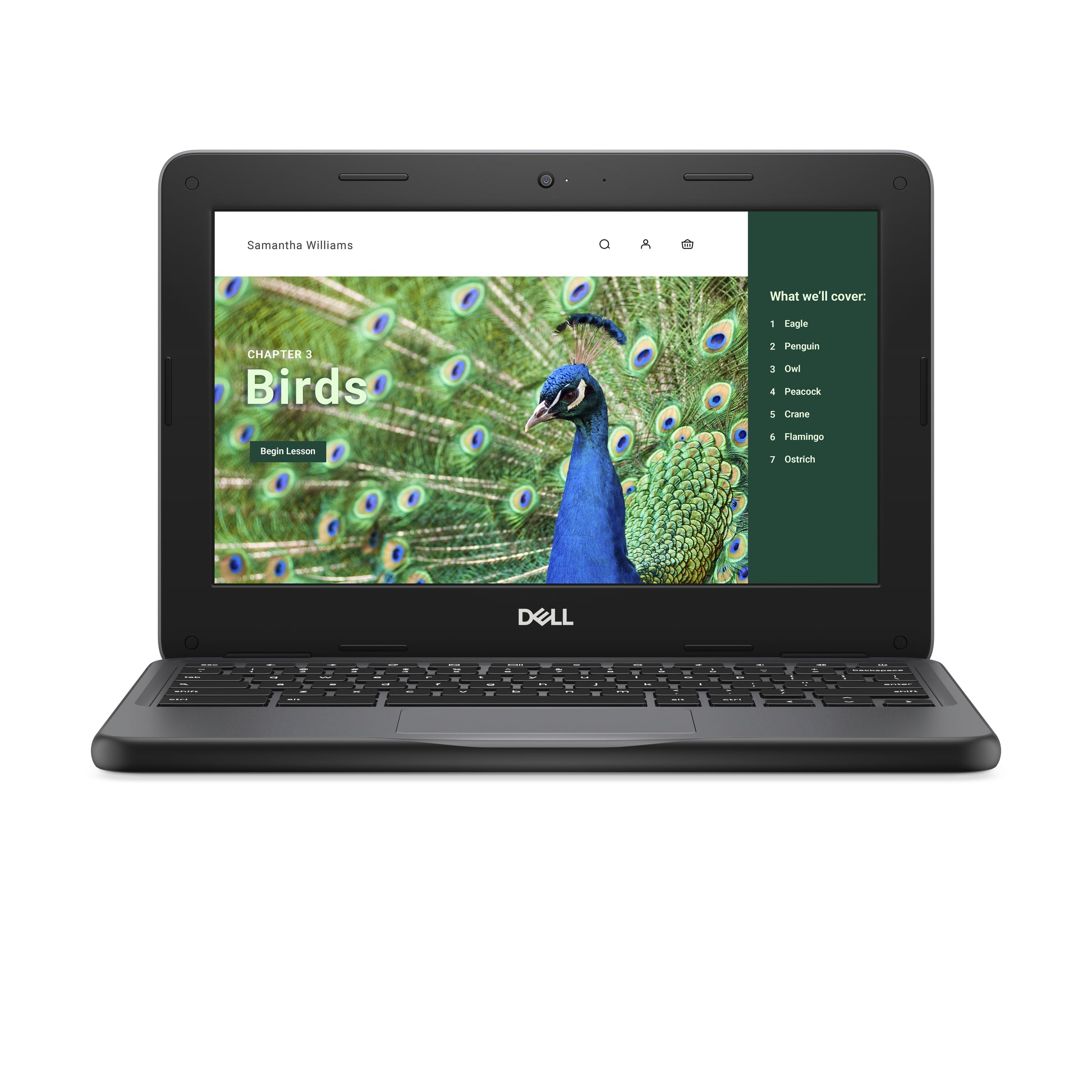 DELL Chromebook 3120 Intel® N N100 11.6" Touchscreen HD 4 GB 64 GB Flash Wi-Fi 6 (802.11ax) ChromeOS Black