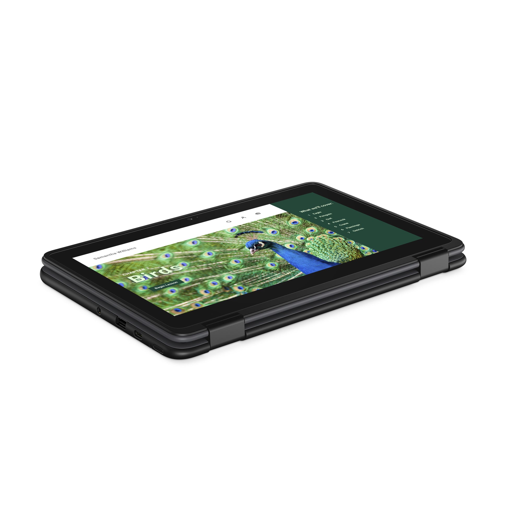 DELL Chromebook 3120 2-in-1 Intel® N N100 11.6" Touchscreen HD 4 GB LPDDR5-SDRAM 64 GB eMMC Wi-Fi 6 (802.11ax) ChromeOS Black