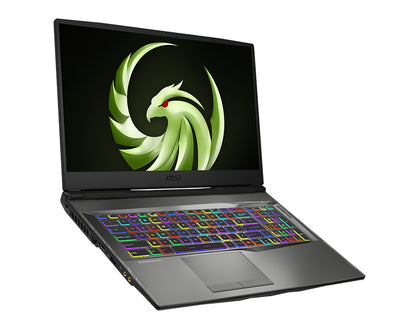 MSI Alpha A4DEK-011 AMD Ryzen™ 7 4800H Laptop 17.3" Full HD 16 GB DDR4-SDRAM 1 TB SSD AMD Radeon RX 5600M Wi-Fi 6 (802.11ax) Windows 10 Home Black