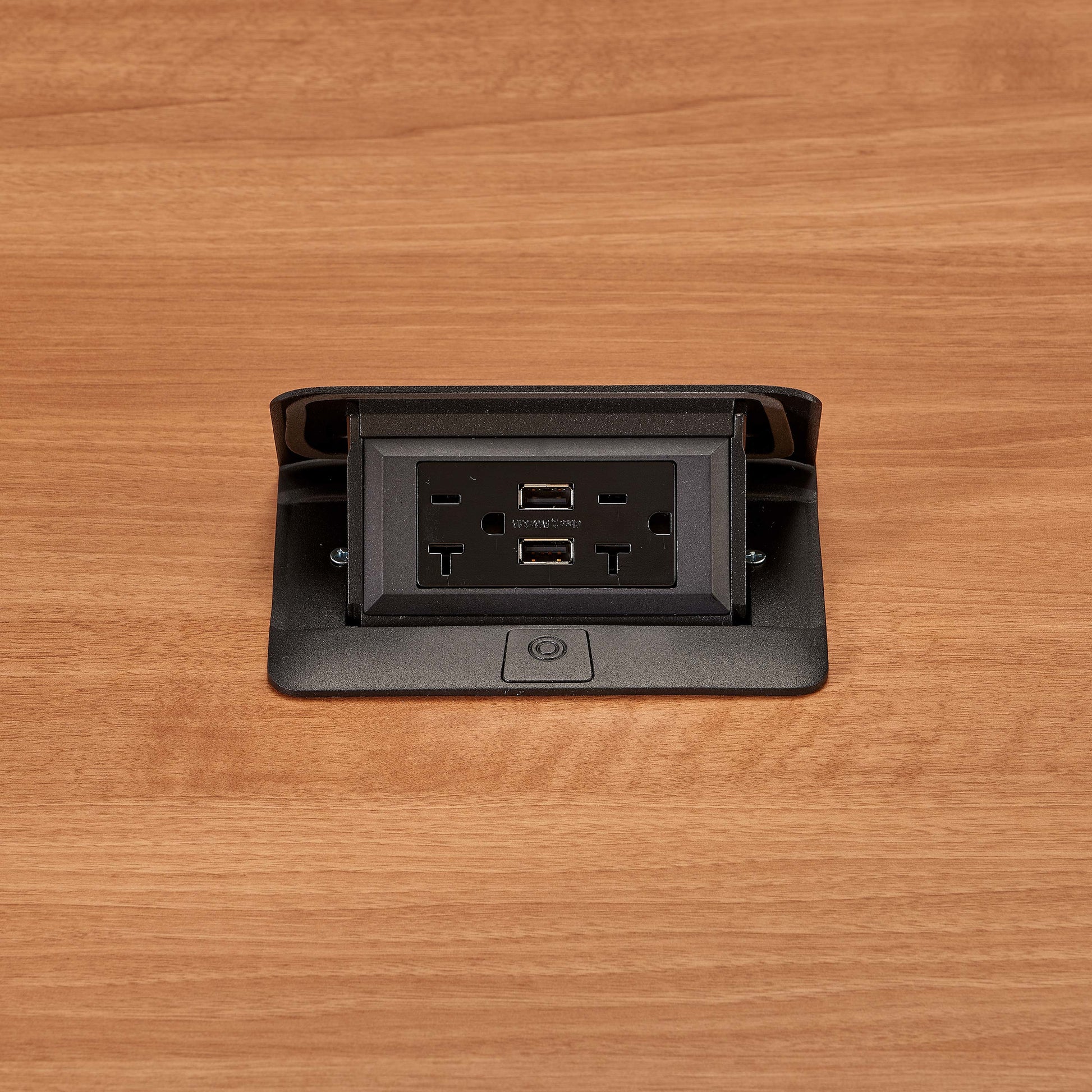 Middle Atlantic Products DQFP20UBK socket-outlet
