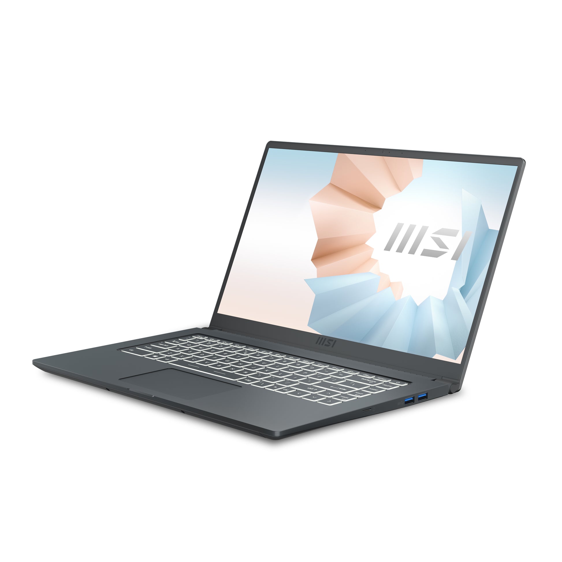 MSI Modern 15 A11SB-220 Intel® Core™ i7 i7-1165G7 Laptop 15.6" Full HD 16 GB DDR4-SDRAM 1 TB SSD NVIDIA GeForce MX450 Wi-Fi 6 (802.11ax) Windows 10 Home Gray