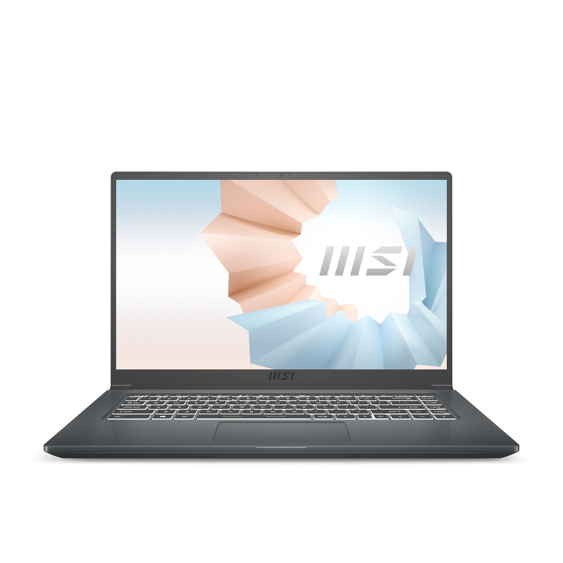 MSI Modern 15 A11SB-220 Intel® Core™ i7 i7-1165G7 Laptop 15.6" Full HD 16 GB DDR4-SDRAM 1 TB SSD NVIDIA GeForce MX450 Wi-Fi 6 (802.11ax) Windows 10 Home Gray