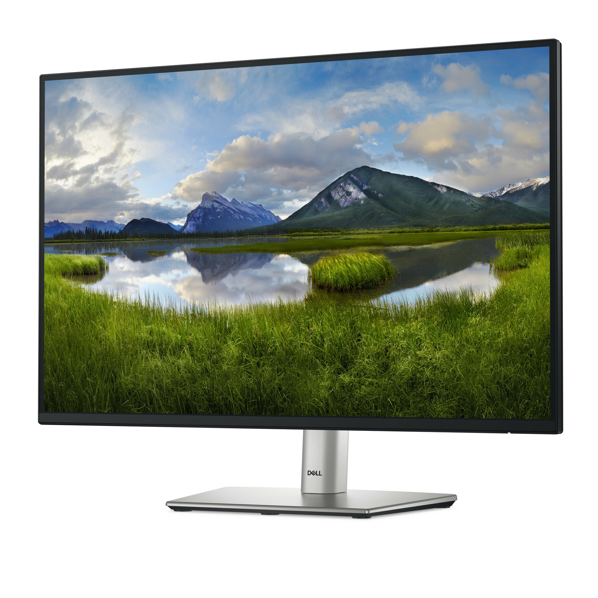 DELL Pro Plus P2425 computer monitor 24.07" 1920 x 1200 pixels WUXGA LCD Black