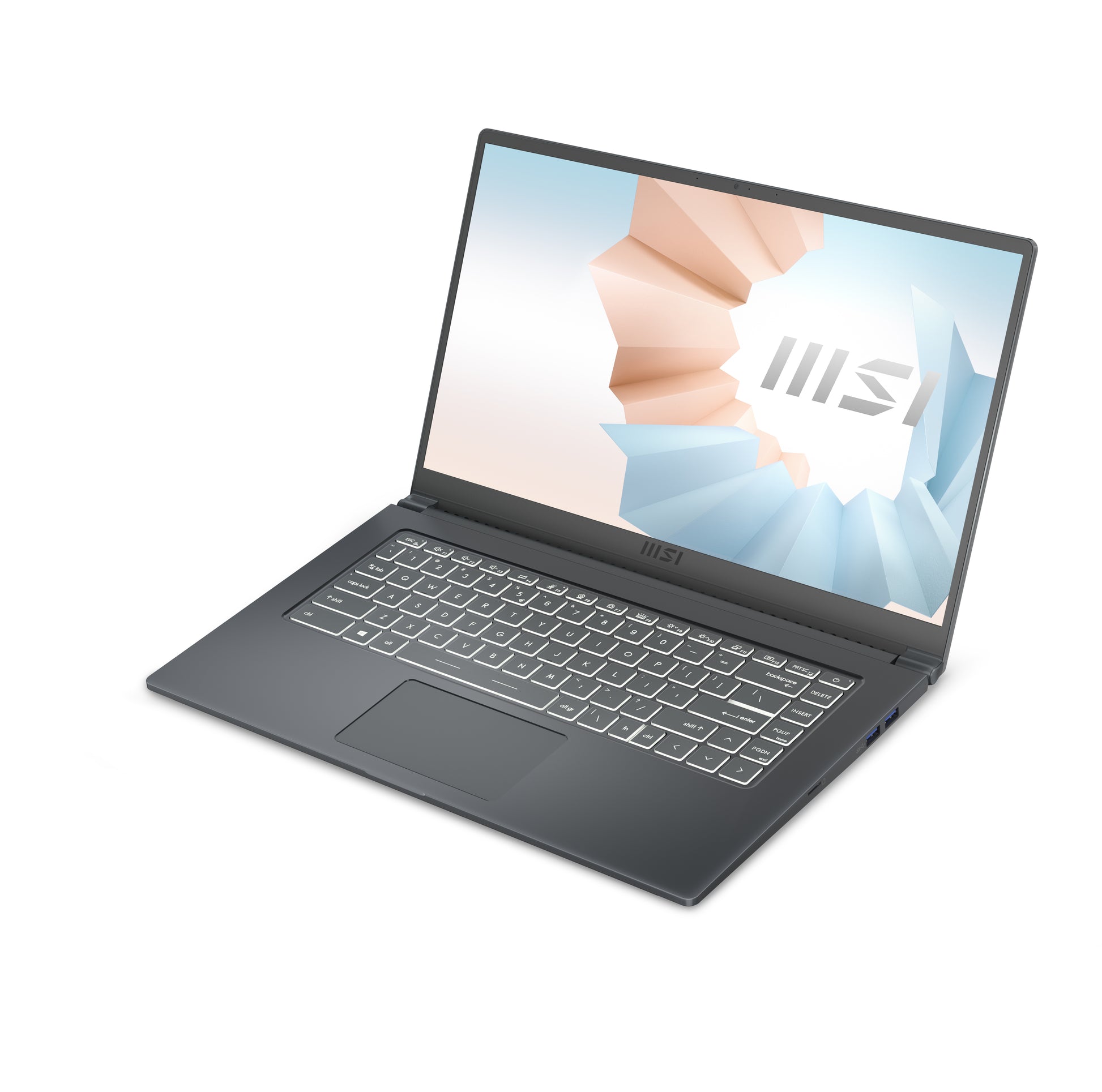 MSI Modern 15 A11SB-220 Intel® Core™ i7 i7-1165G7 Laptop 15.6" Full HD 16 GB DDR4-SDRAM 1 TB SSD NVIDIA GeForce MX450 Wi-Fi 6 (802.11ax) Windows 10 Home Gray