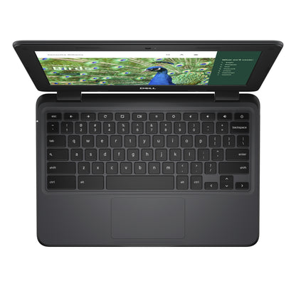 DELL Chromebook 3120 Intel® N N100 11.6" Touchscreen HD 8 GB 64 GB Flash Wi-Fi 6 (802.11ax) ChromeOS Black