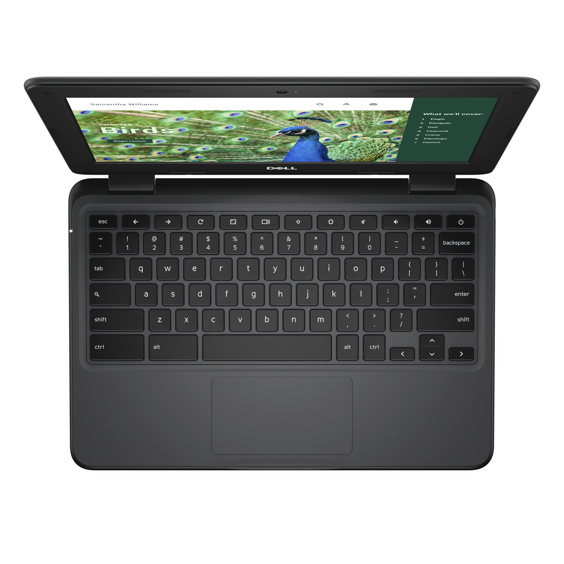 DELL Chromebook 3120 Intel® N N100 11.6" HD 4 GB 64 GB Flash Wi-Fi 6 (802.11ax) ChromeOS Black