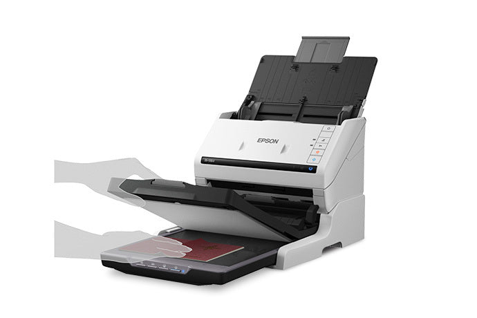 Epson WorkForce B11B261202 scanner Sheet-fed scanner 600 x 600 DPI A4 White