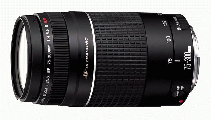 Canon EF 75-300mm f/4.0-5.6 III USM Black