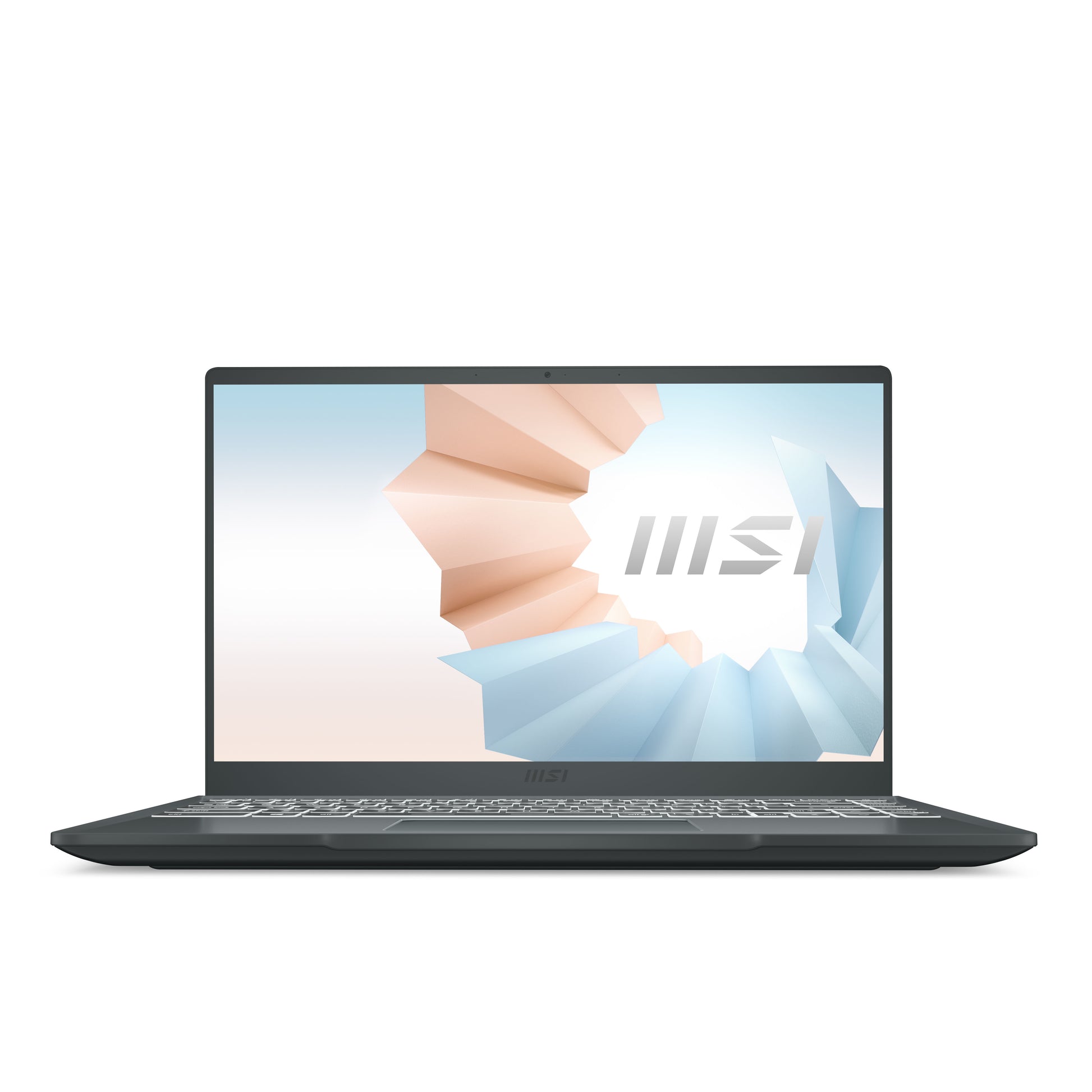MSI Modern 14 B10MW-256 Intel® Core™ i7 i7-10510U Laptop 14" Full HD 16 GB DDR4-SDRAM 512 GB SSD Wi-Fi 5 (802.11ac) Windows 10 Pro Gray