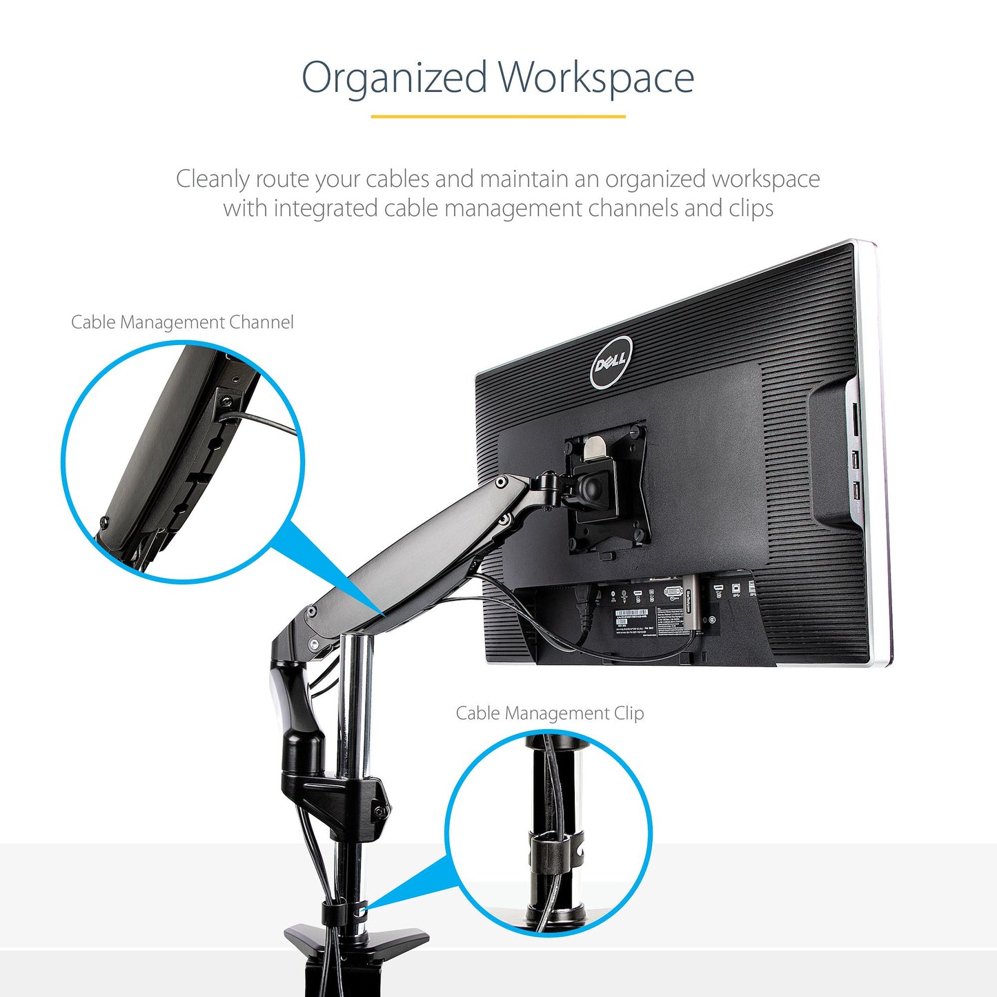 StarTech.com ARMPIVOTE2 monitor mount / stand 49" Desk Black
