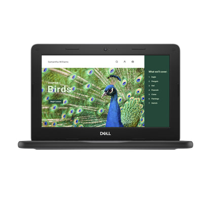 DELL Chromebook 3120 Intel® N N100 11.6" HD 4 GB LPDDR5-SDRAM 64 GB eMMC Wi-Fi 6 (802.11ax) ChromeOS Black