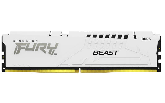 Kingston Technology FURY Beast memory module 16 GB 1 x 16 GB DDR5 5600 MT/s