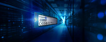 Kingston Technology DC2000B 960 GB M.2 PCI Express 4.0 NVMe 3D TLC