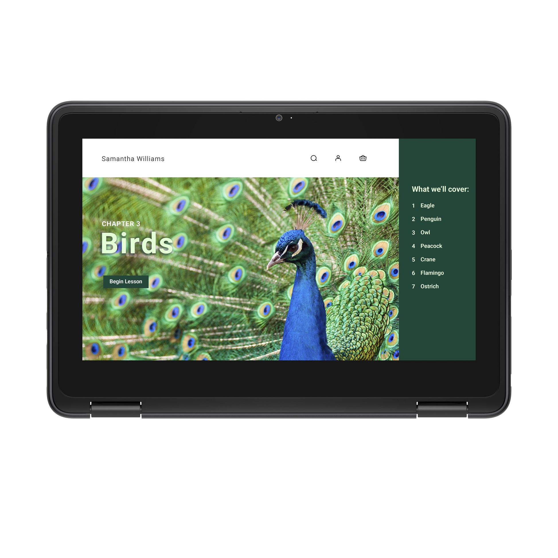 DELL Chromebook 3120 2-in-1 Intel® N N100 11.6" Touchscreen HD 4 GB LPDDR5-SDRAM 64 GB eMMC Wi-Fi 6 (802.11ax) ChromeOS Black