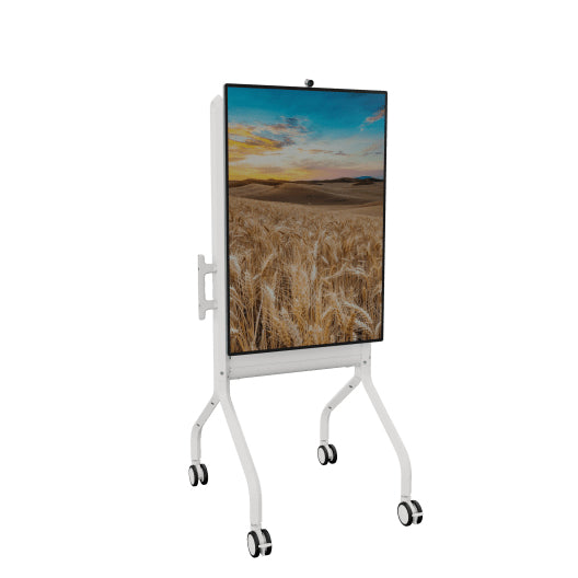 Chief LSCUW AV equipment stand White